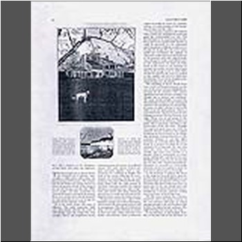 Unable to load Image